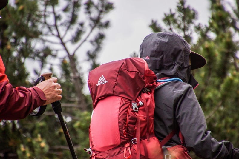 Hiking Excursions